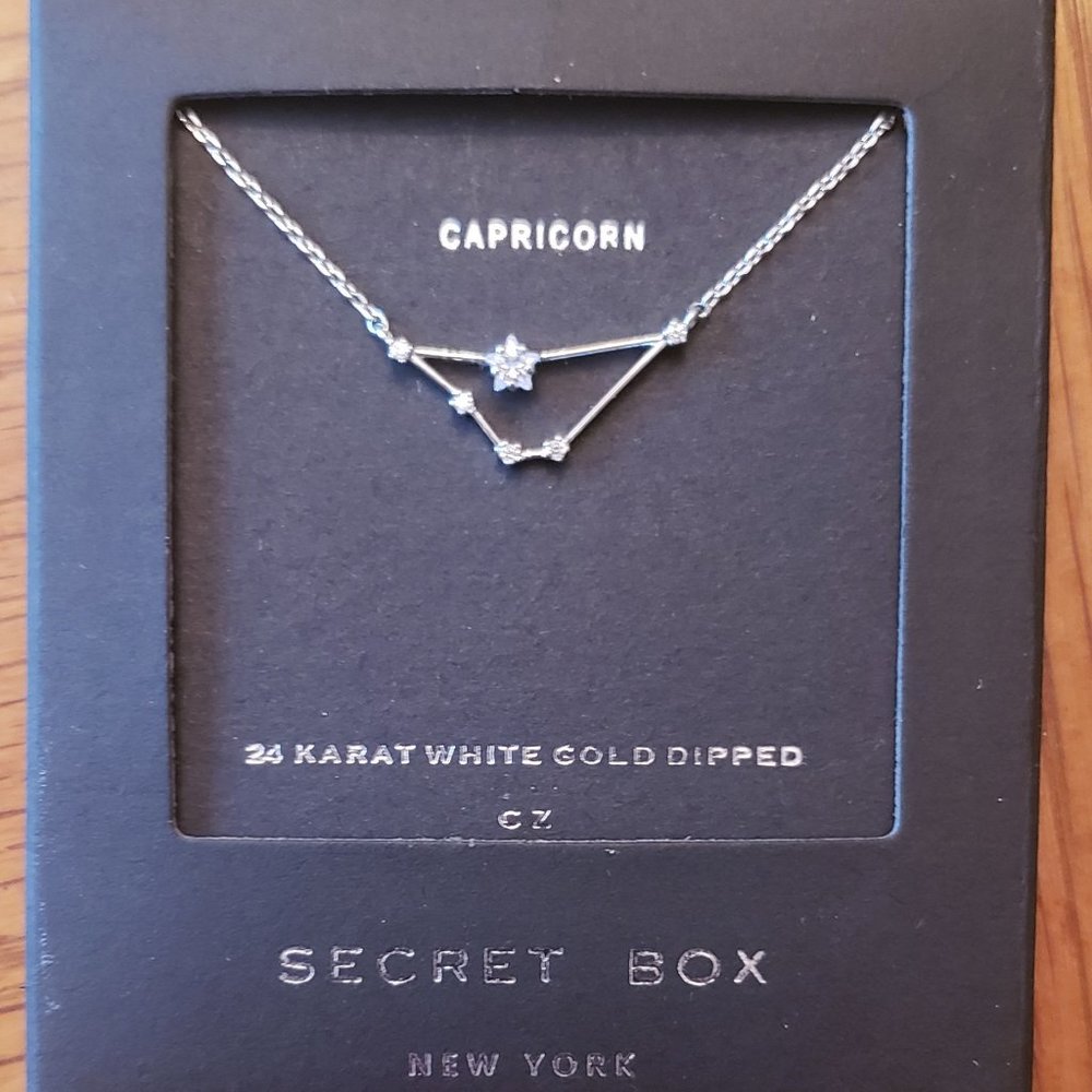 CAPRICORN | Dainty Constellation ZODIAC Necklace
